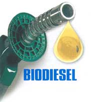 ¿Cómo hago mi propio biodiesel?